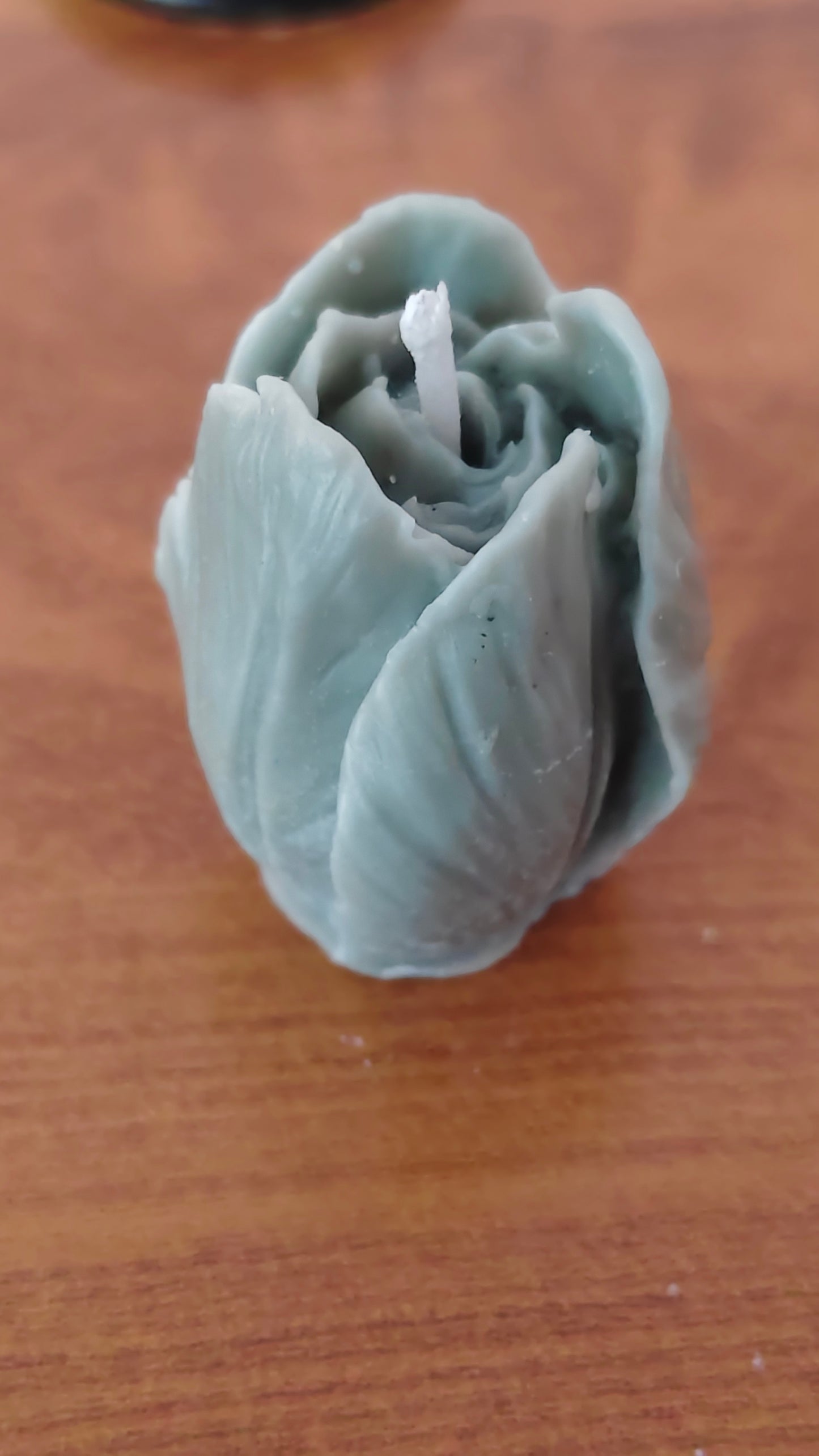 Tulip Candle Pack of 6